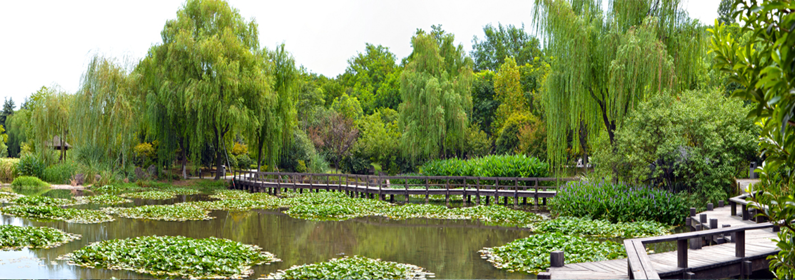 url(http://m.ruidejia.cn/theme/TP000163/pic/banner4.jpg)